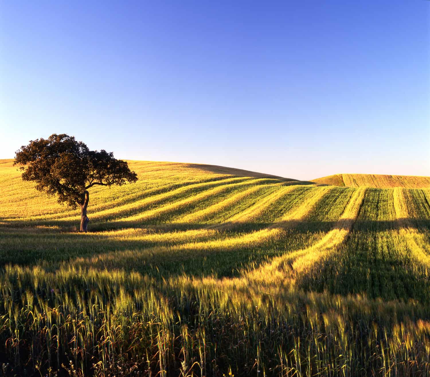 Alentejo