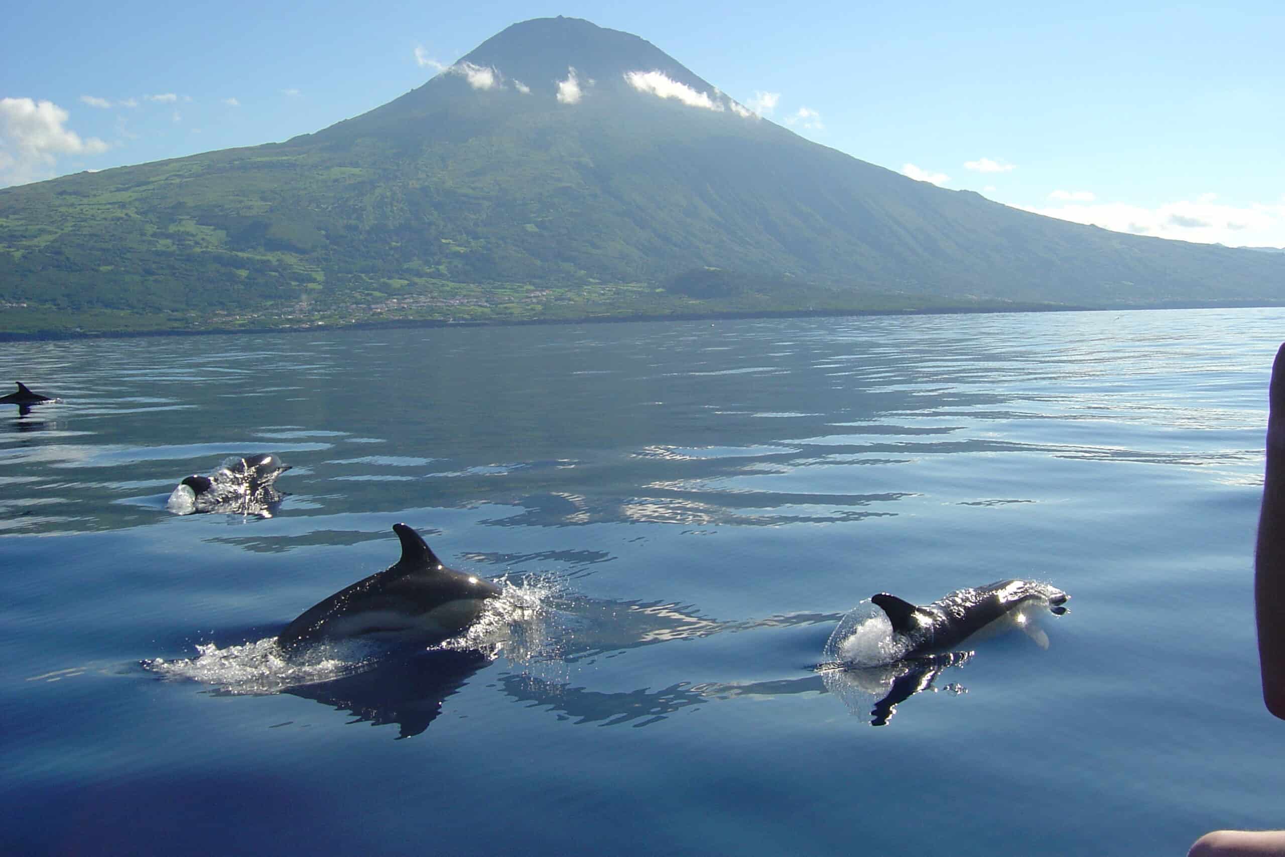 Azores